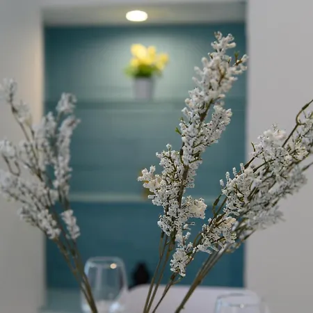 Maria's Dream House *