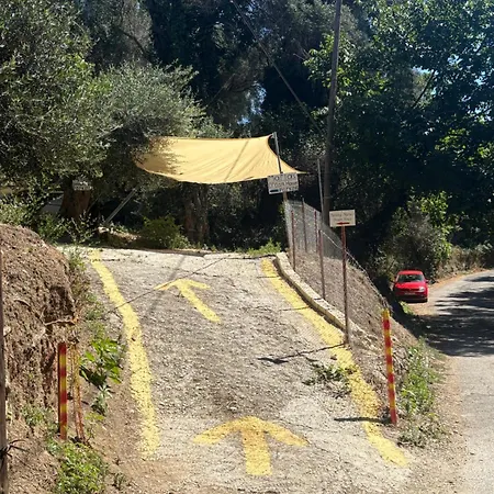 Maria's Dream House *